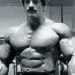 Picture-of-Mike-Mentzer
