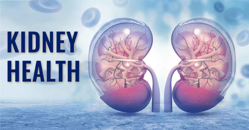 Kidney-Health