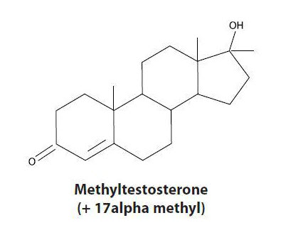 image of methandrostenolone