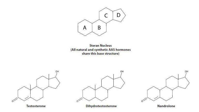Picture of different forms of ANABOLIC STEROIDS