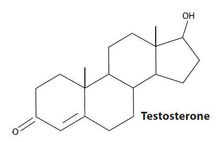 image of testosterone