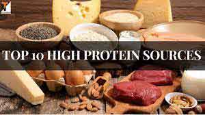 The 10 Best High-Protein Foods