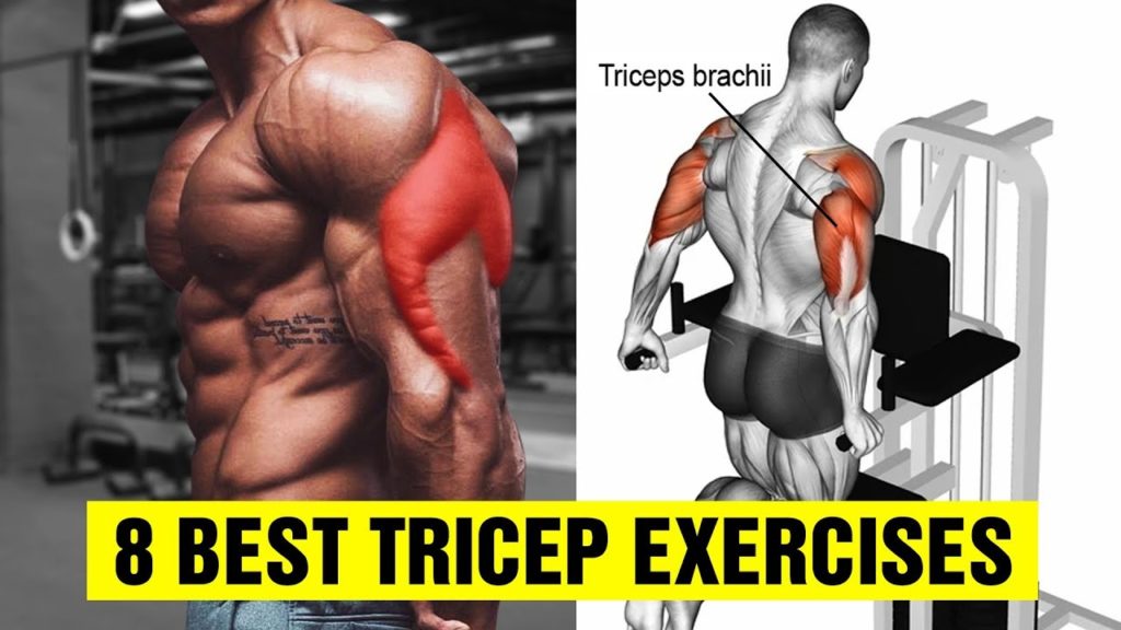 Tricep workouts