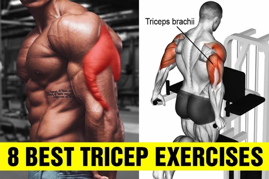 Tricep workouts