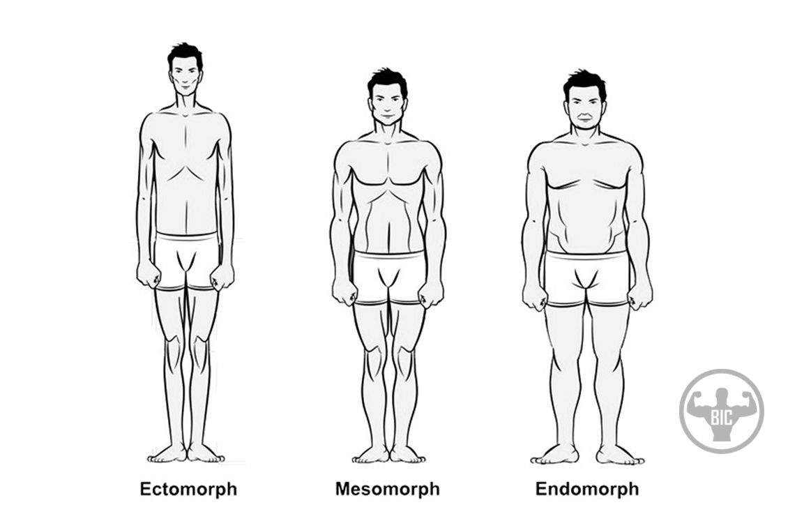 the-3-main-body-types-how-to-determine-which-one-you-are