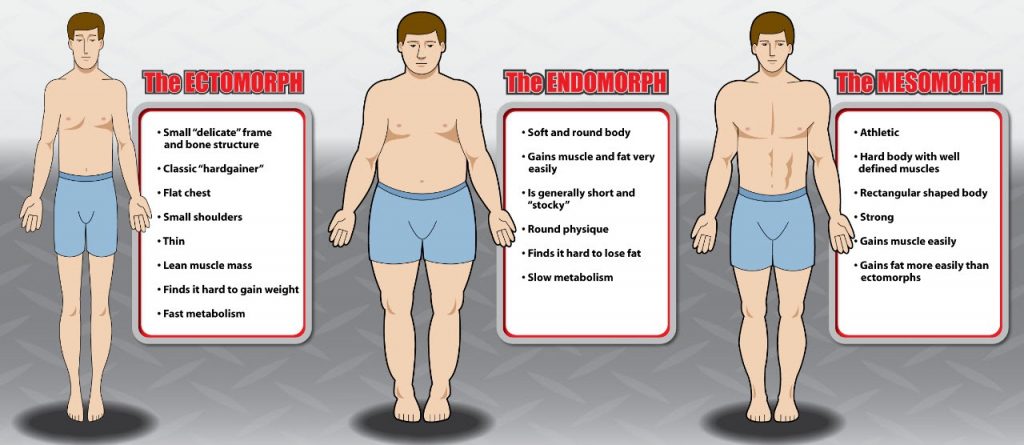 The 3 Body types