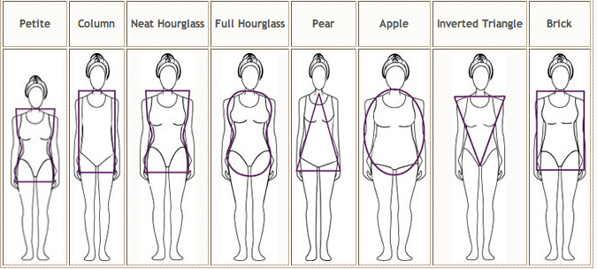 Body Type Shapes