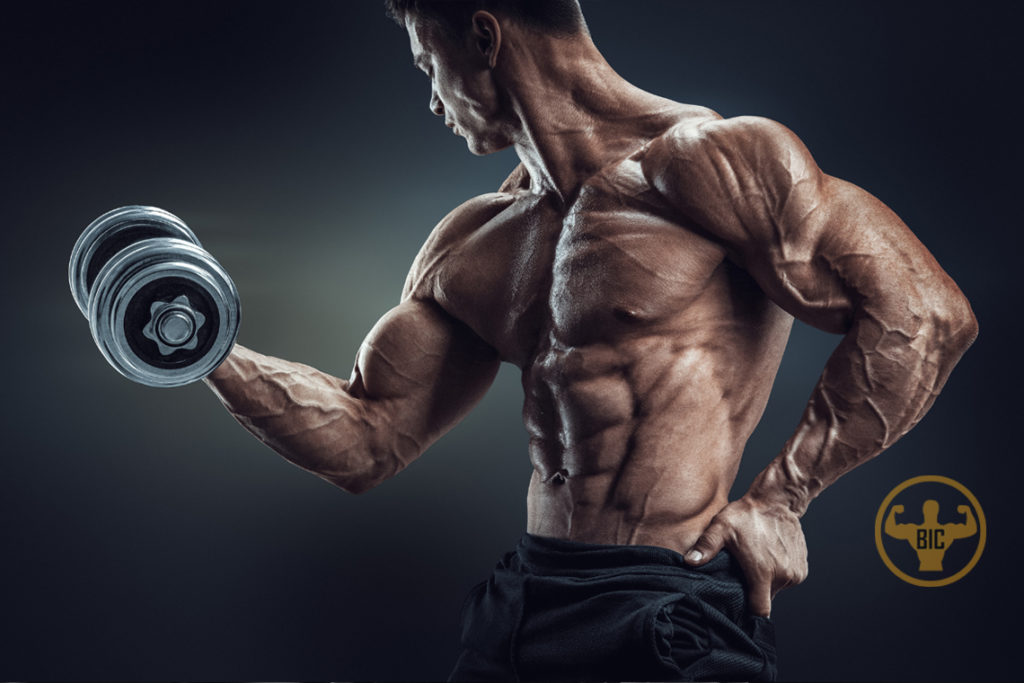 Designing-Your-Strength-Training-Program