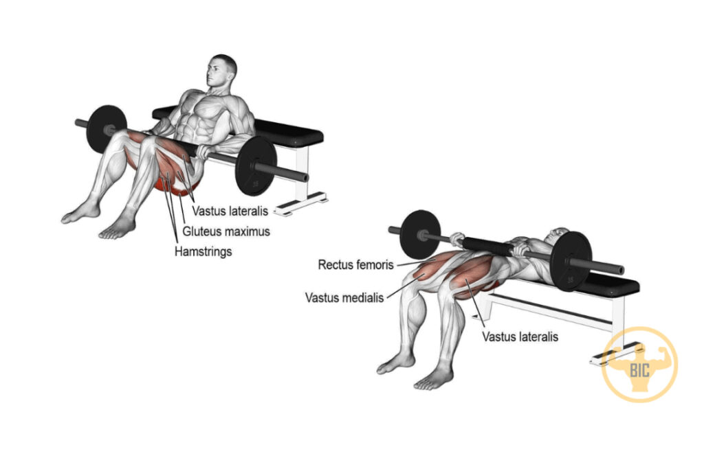 hip thrusts
